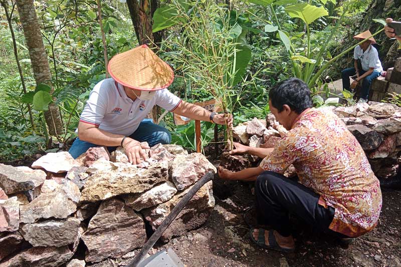 Penanaman 100 rumpun bambu di Magelang, Jawa Tengah